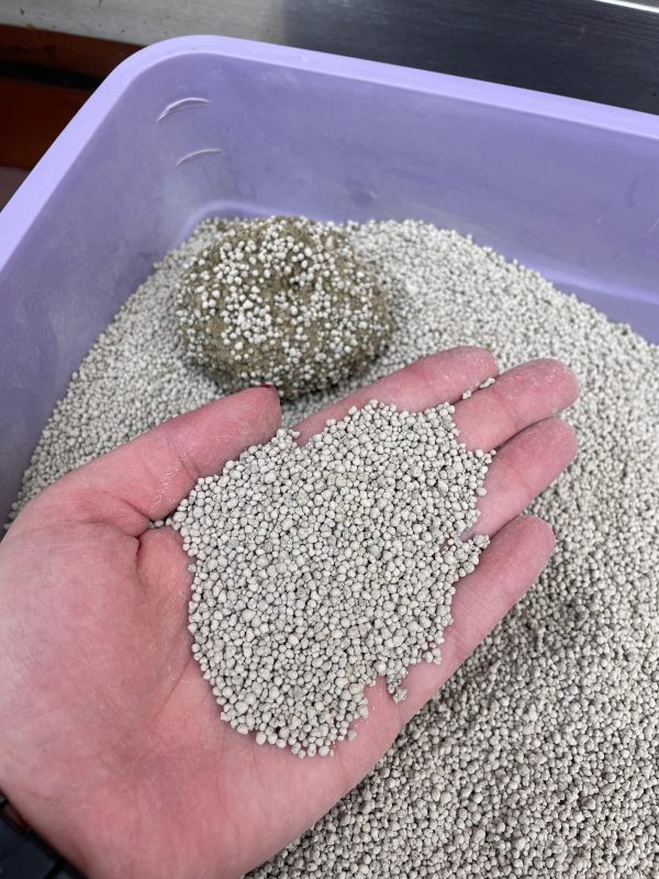 5KG Granulada - Imagen 2