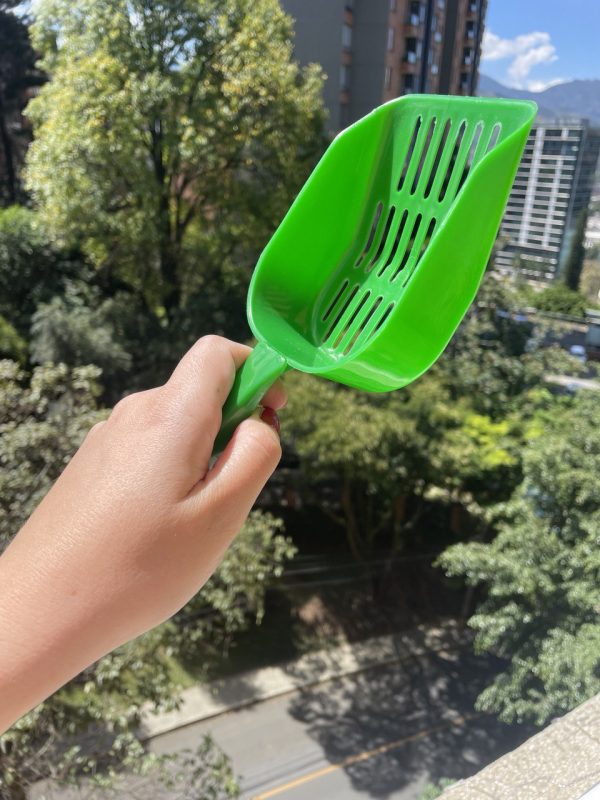 PALITAS VARIADAS - Imagen 4